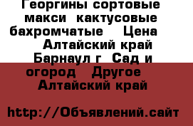 Георгины сортовые (макси, кактусовые, бахромчатые) › Цена ­ 70 - Алтайский край, Барнаул г. Сад и огород » Другое   . Алтайский край